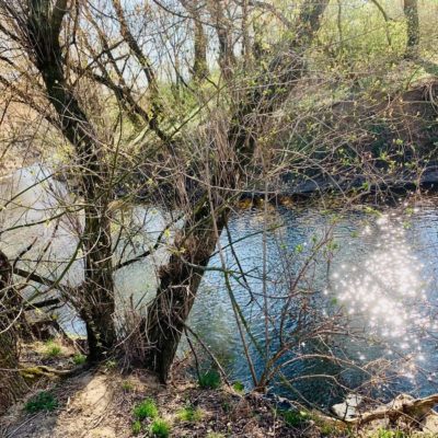 Príroda Vráble a okolie