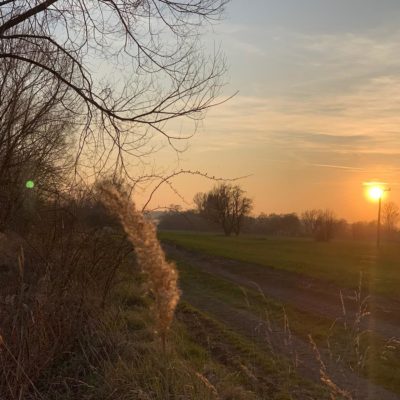 Príroda Vráble a okolie