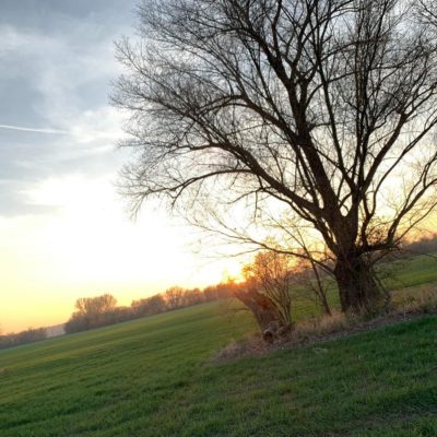 Príroda Vráble a okolie