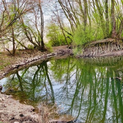 Príroda Vráble a okolie