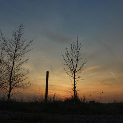 Príroda Vráble a okolie