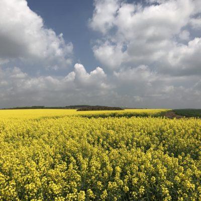 Príroda Vráble a okolie