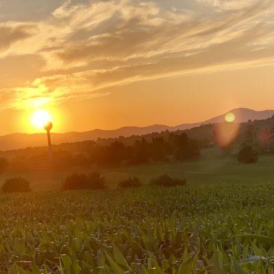 Príroda Vráble a okolie