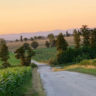 Príroda Vráble a okolie